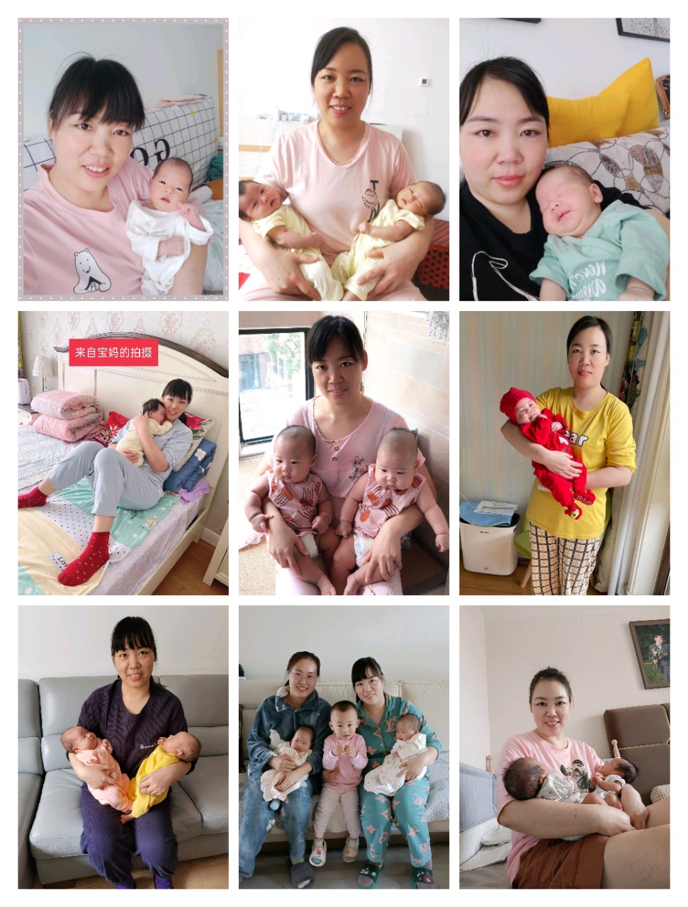 杨阿姨缩略图3