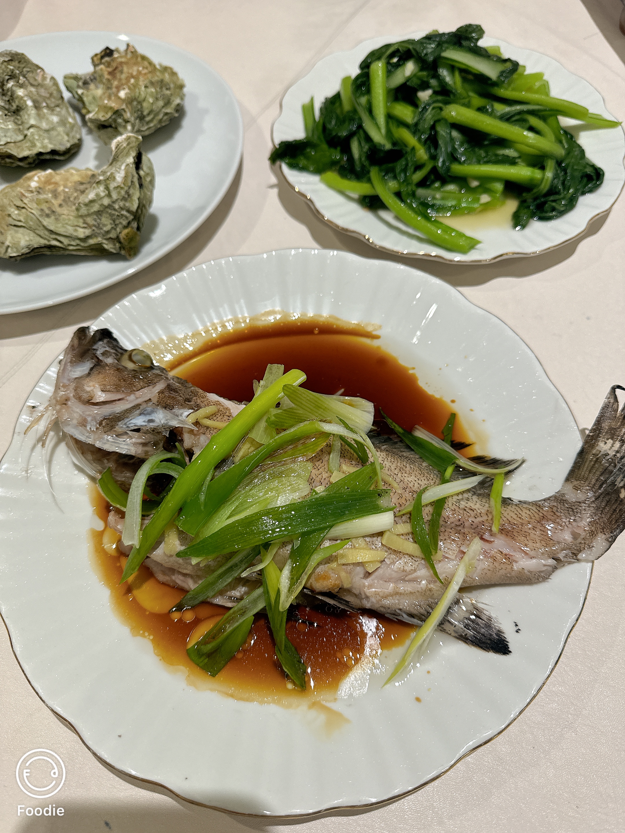 谢阿姨缩略图8