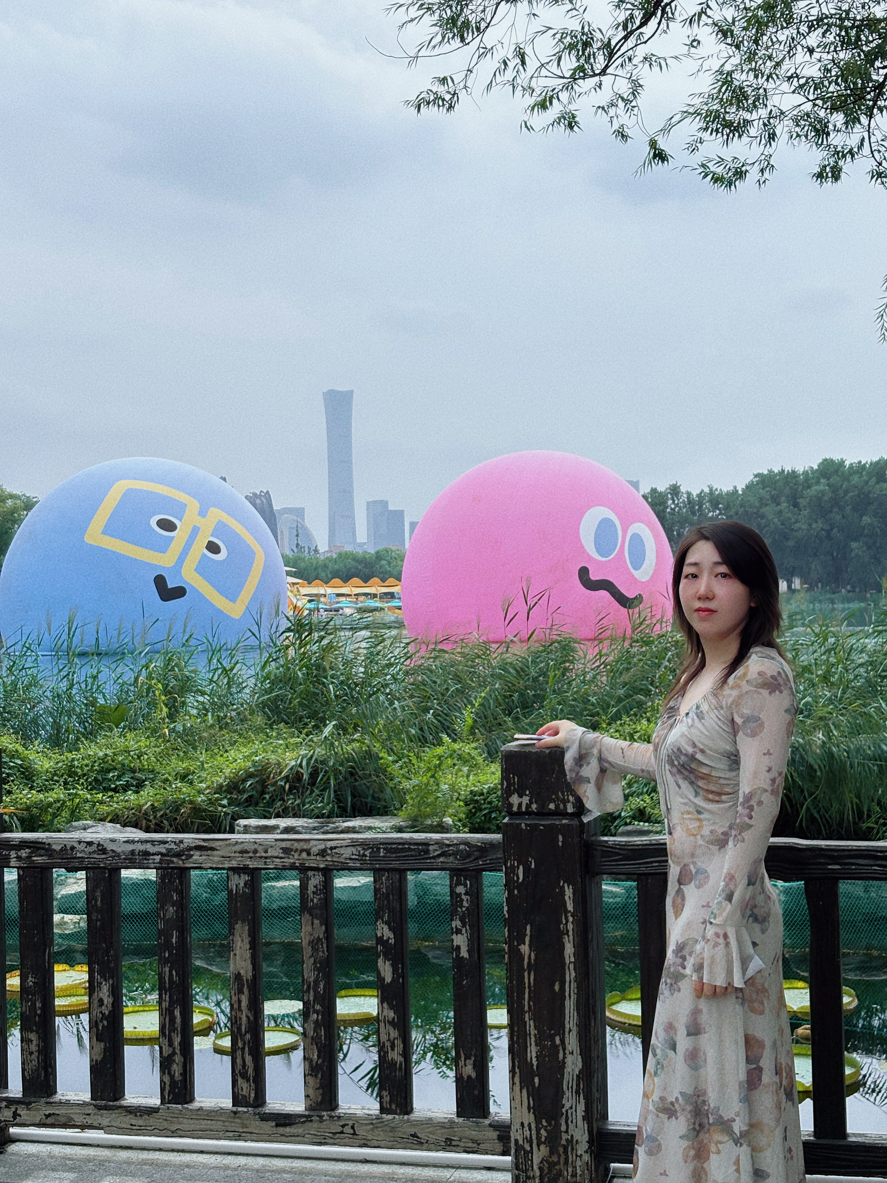 董阿姨缩略图4
