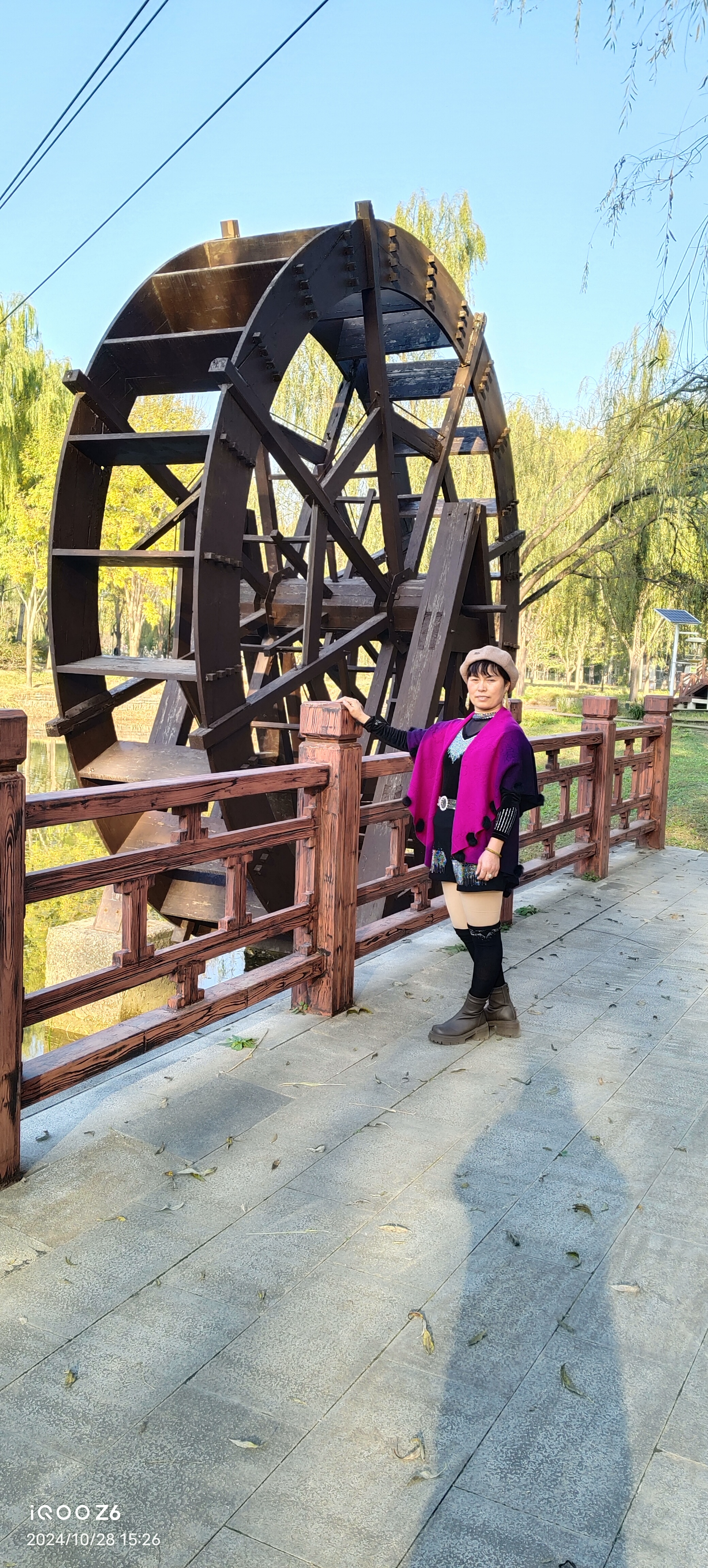 李阿姨缩略图3