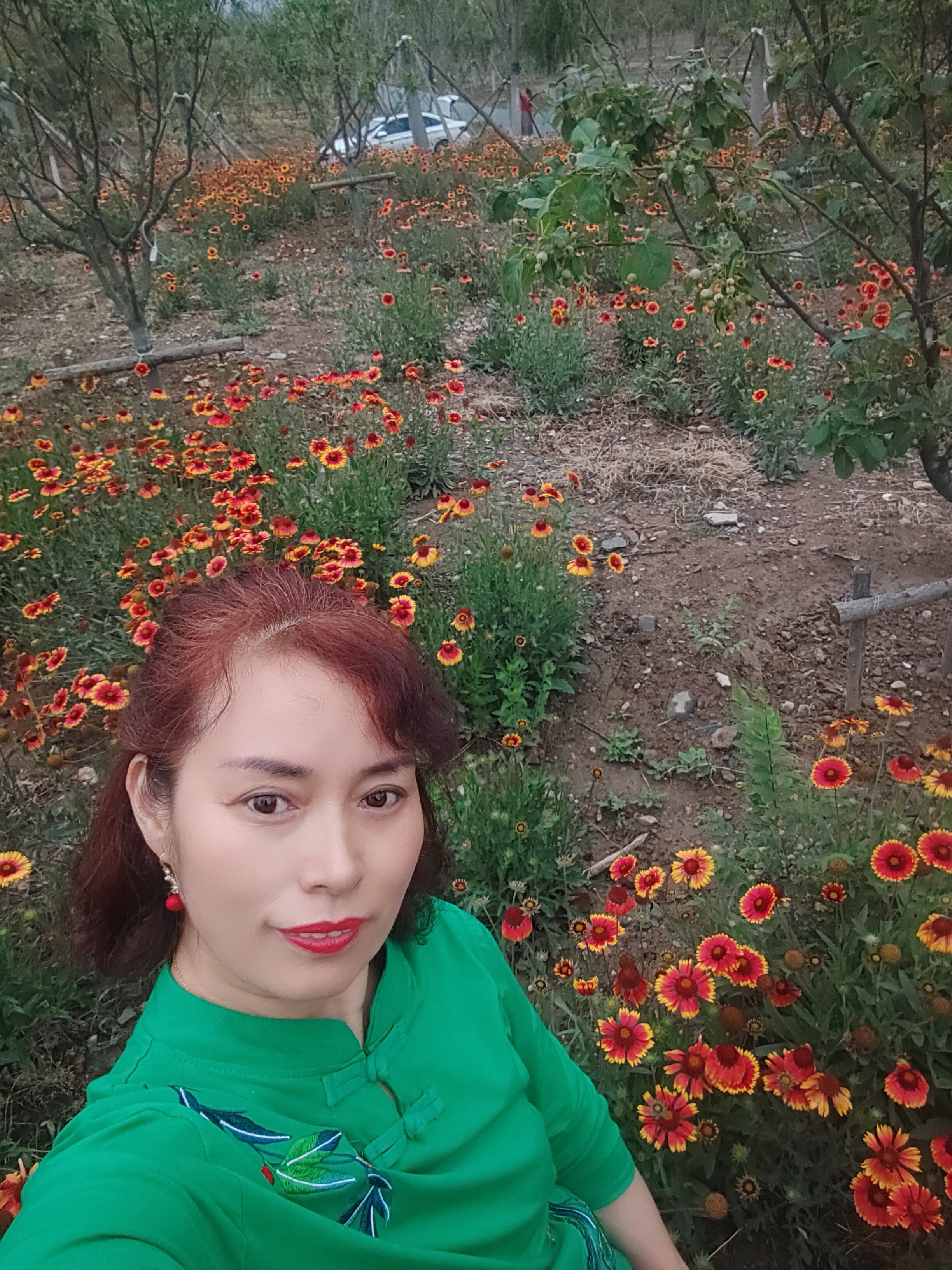李阿姨缩略图4