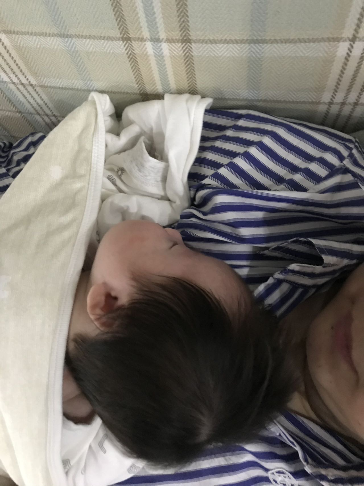 严阿姨缩略图3