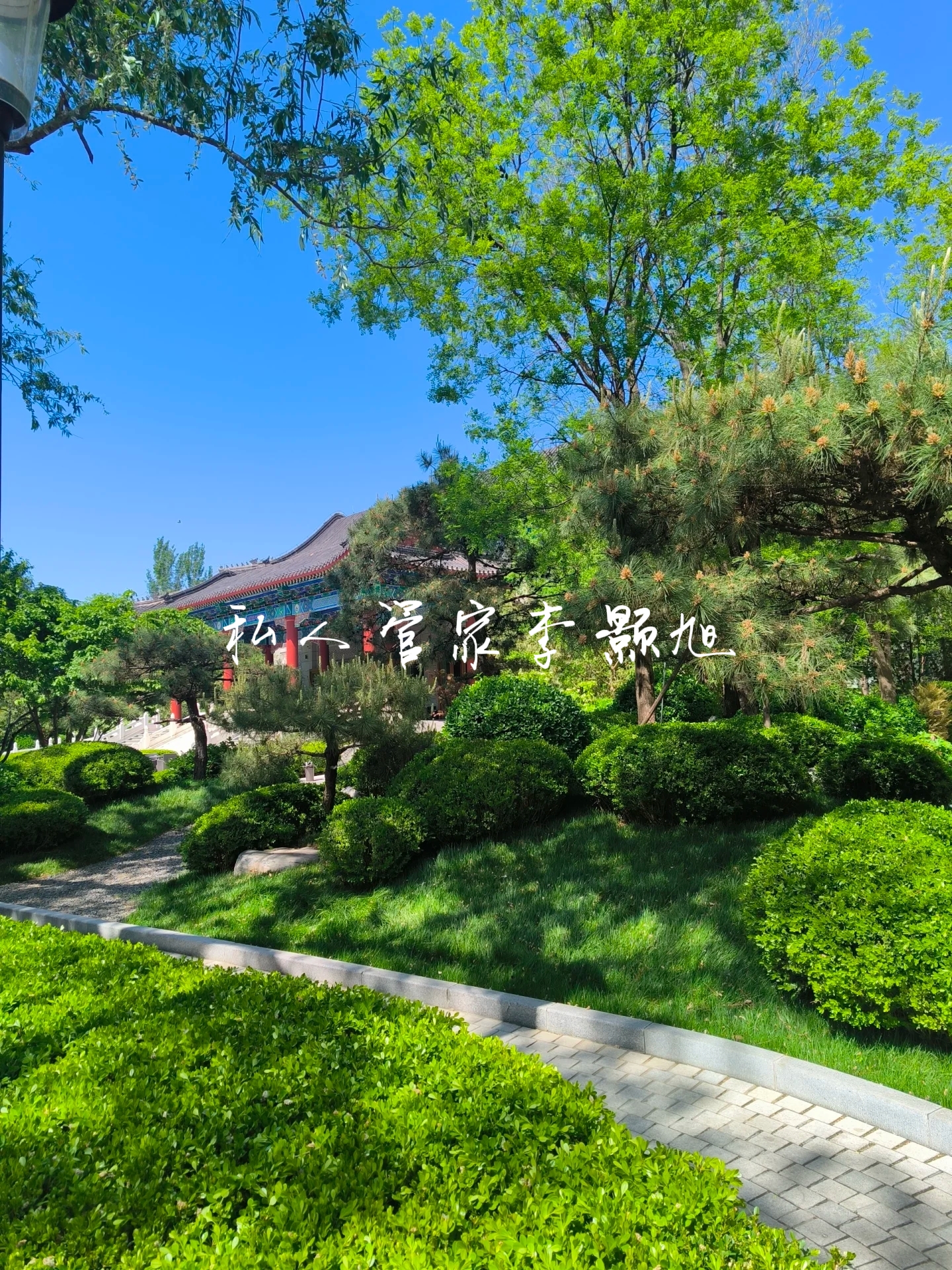 李阿姨工作生活照9