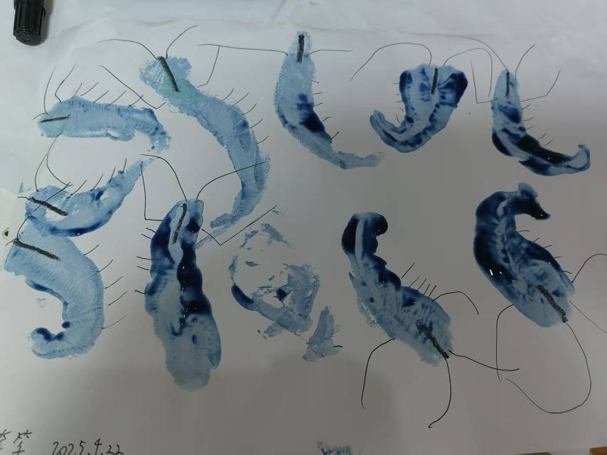 黄阿姨职业证书1
