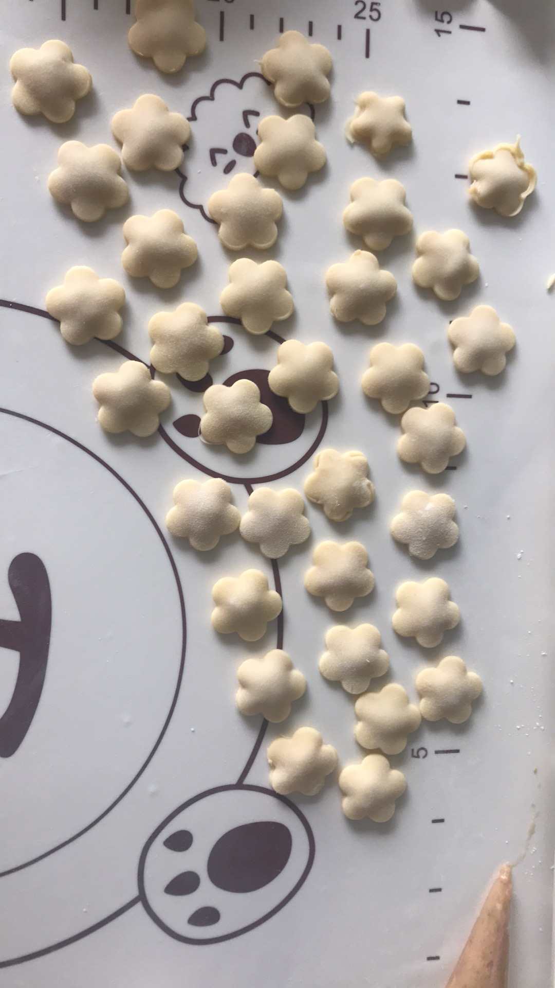朱阿姨缩略图7