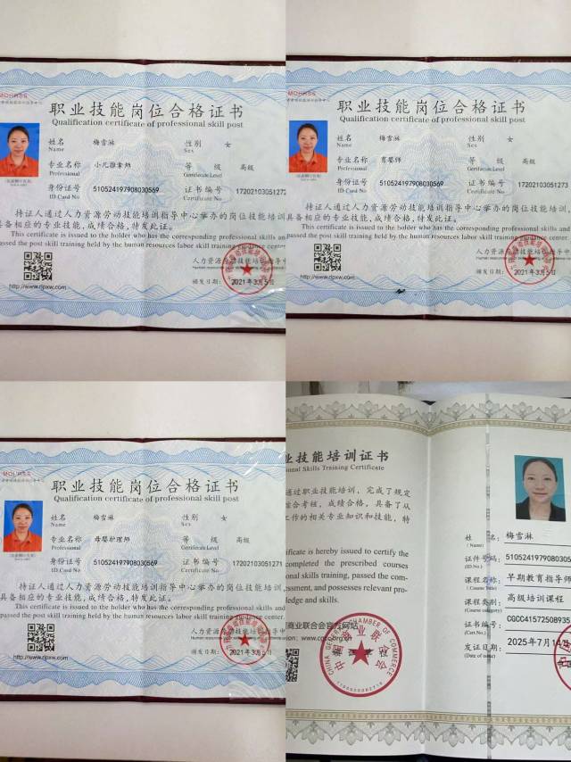 梅阿姨职业证书1