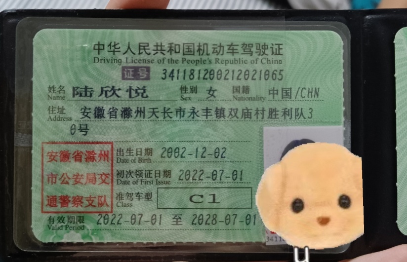 陆阿姨职业证书10