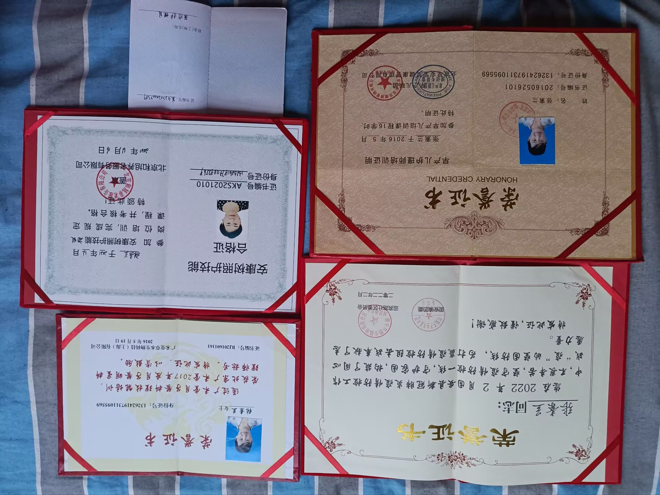 张阿姨职业证书5