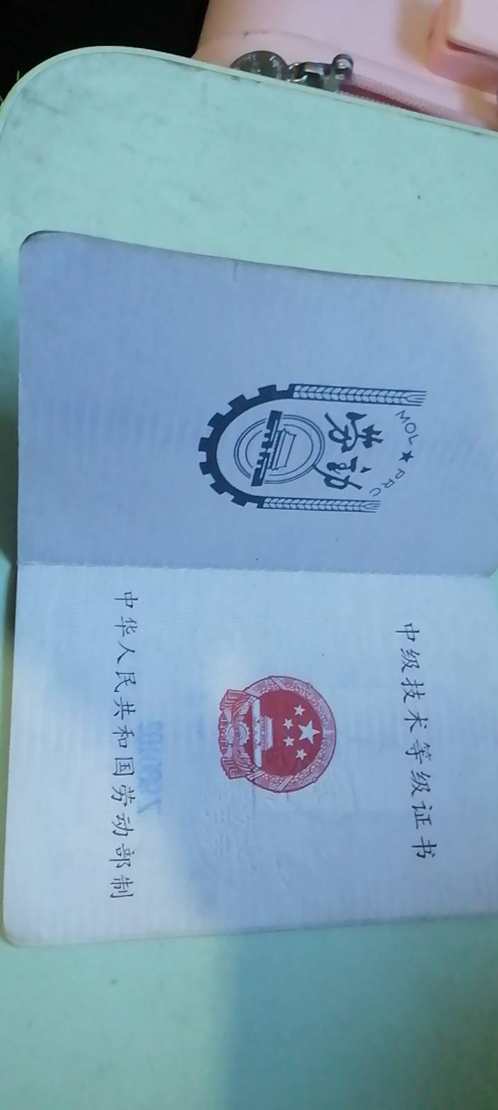 朱阿姨职业证书3