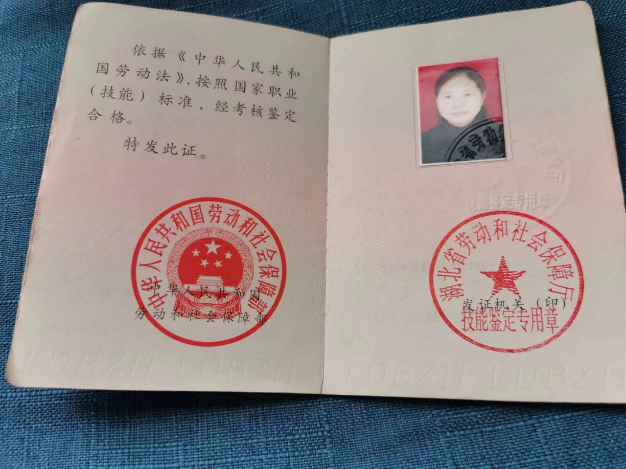 刘阿姨职业证书3