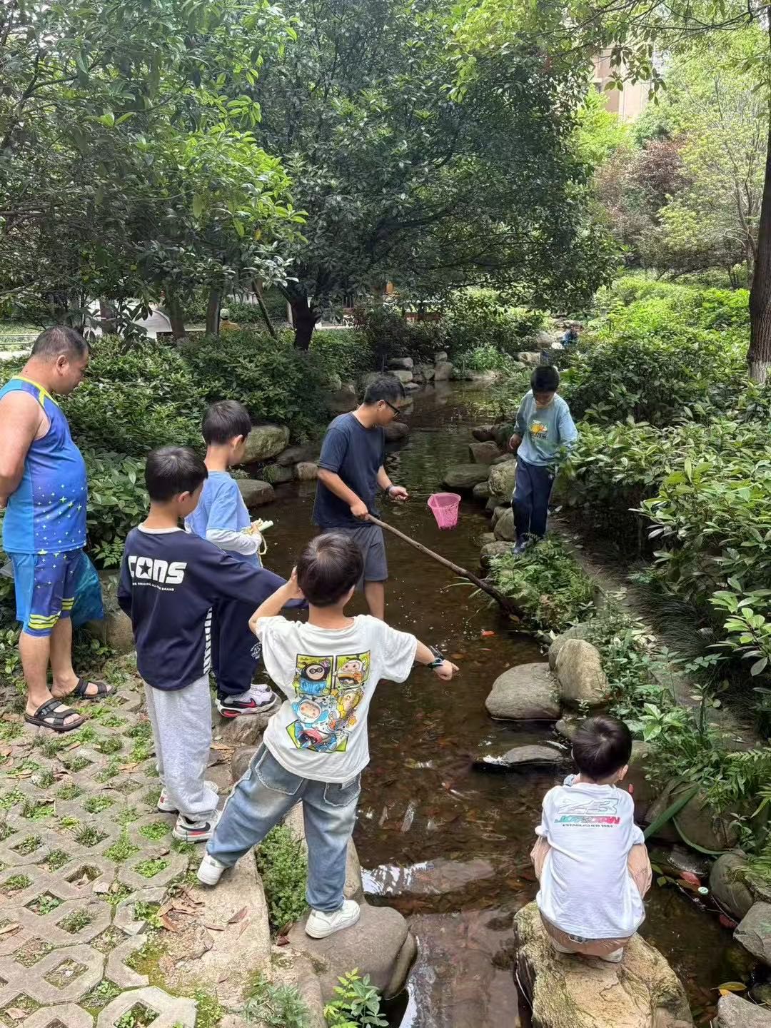顾阿姨缩略图2