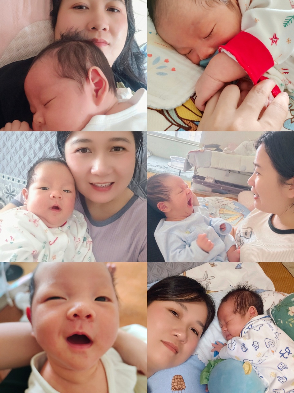 万阿姨缩略图8