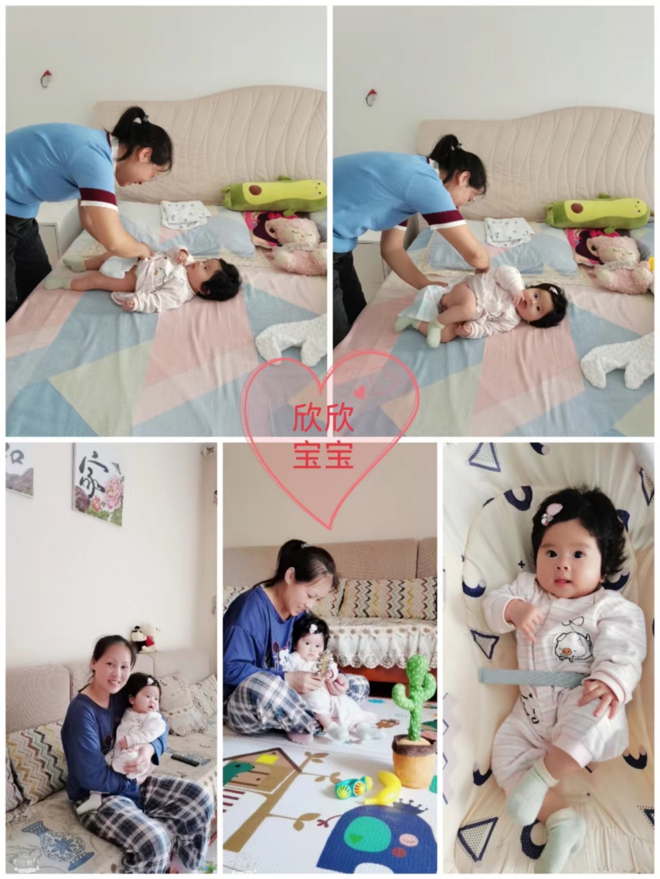 凌阿姨缩略图4