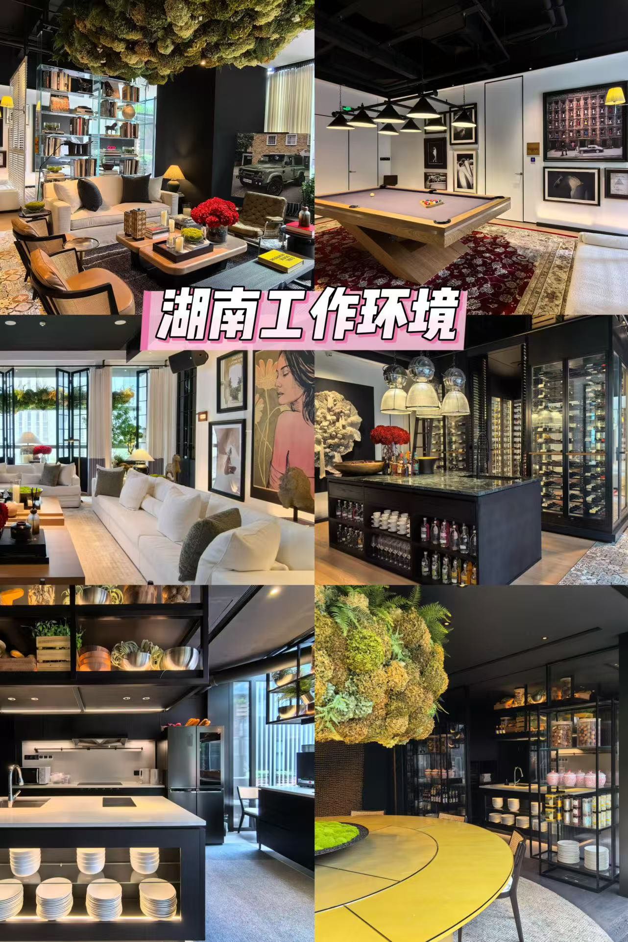 陈阿姨缩略图2