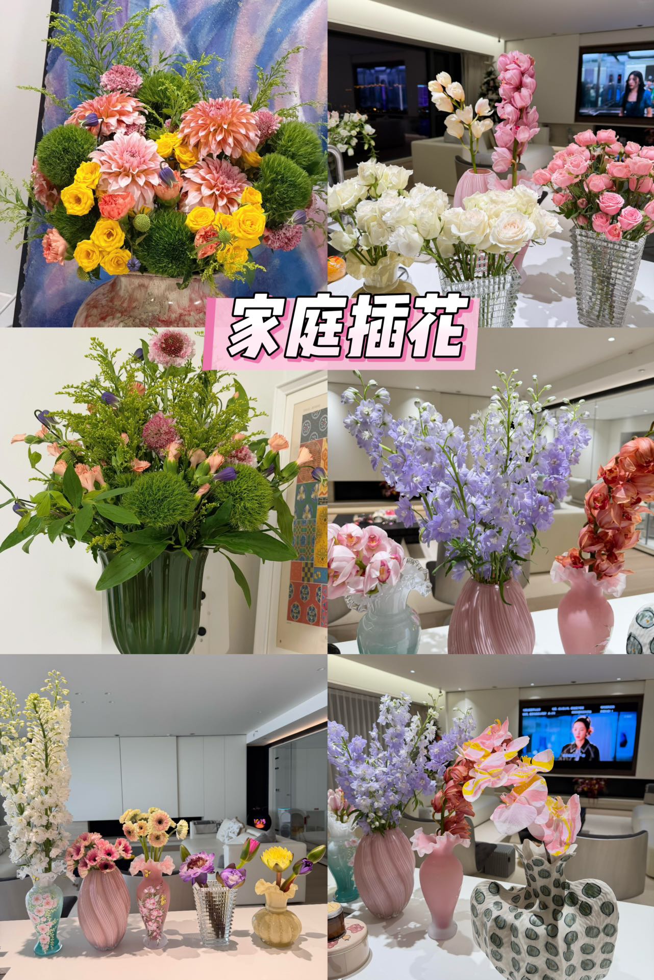 陈阿姨缩略图4