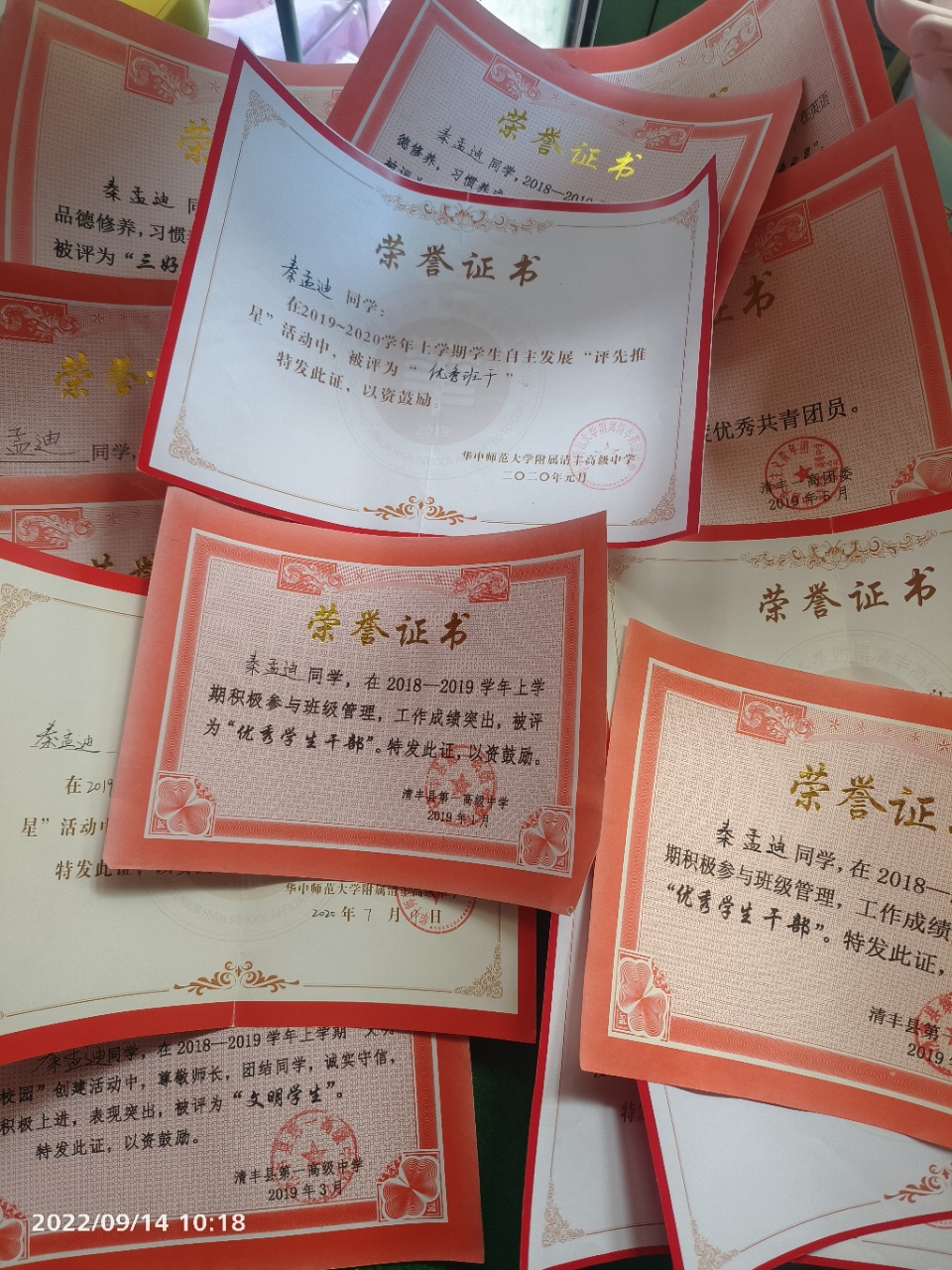秦阿姨职业证书10