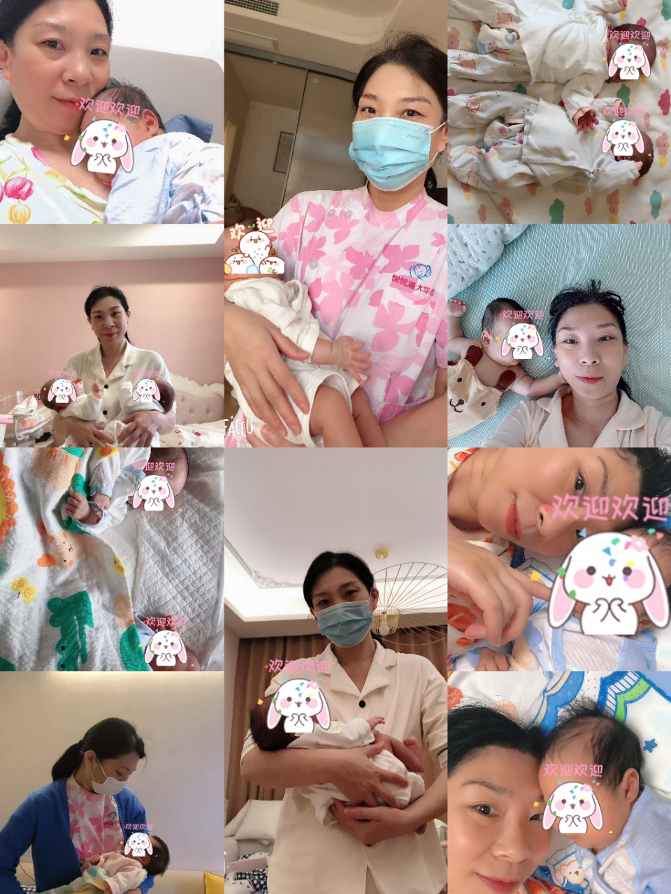 唐阿姨职业证书6