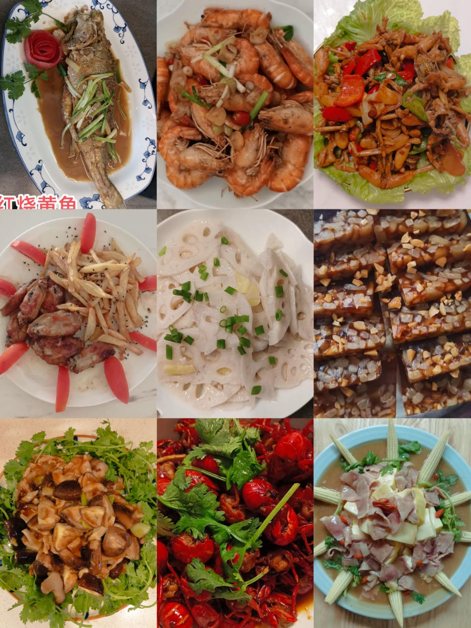 柯阿姨工作生活照4