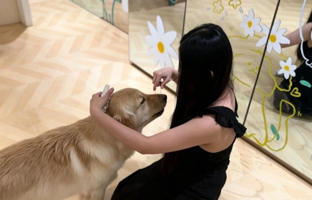 卢阿姨缩略图3