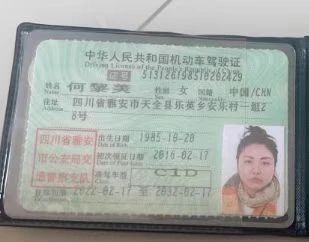 何阿姨缩略图2