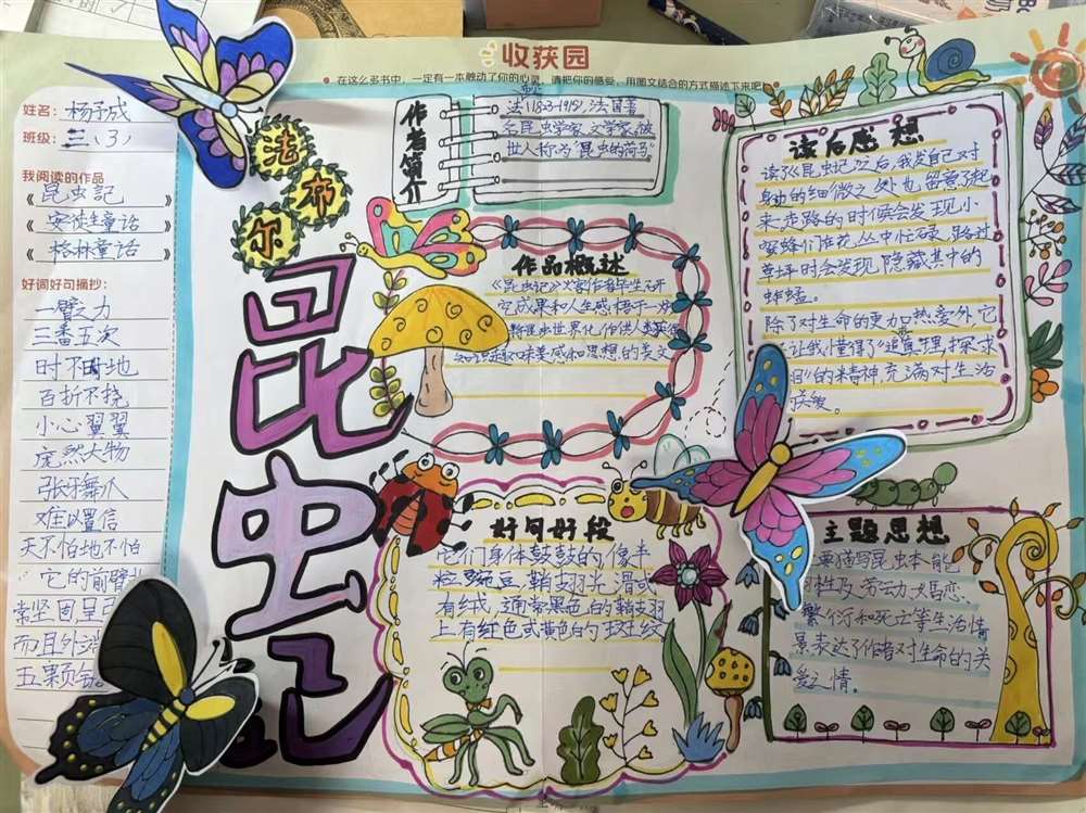 沈阿姨缩略图5