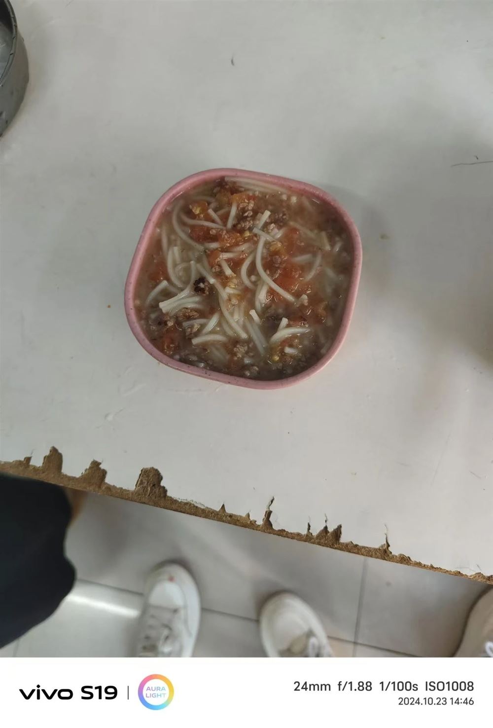 李阿姨工作生活照8