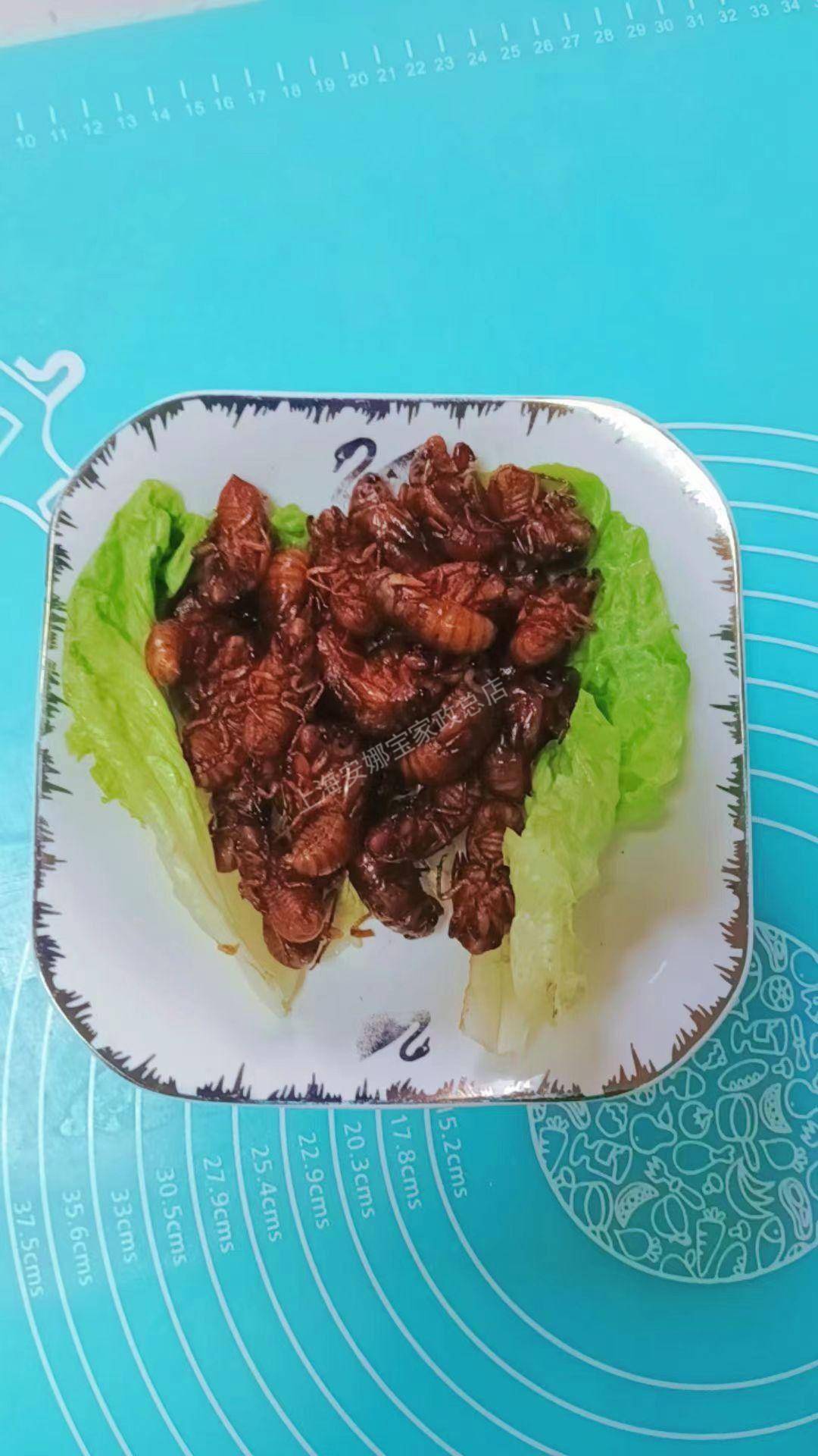 陶阿姨工作生活照12
