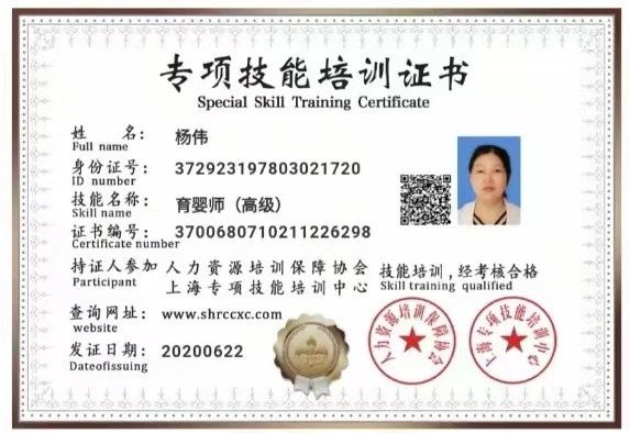 杨阿姨缩略图4