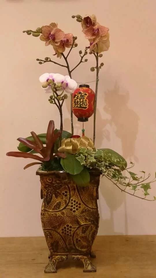 张阿姨缩略图5