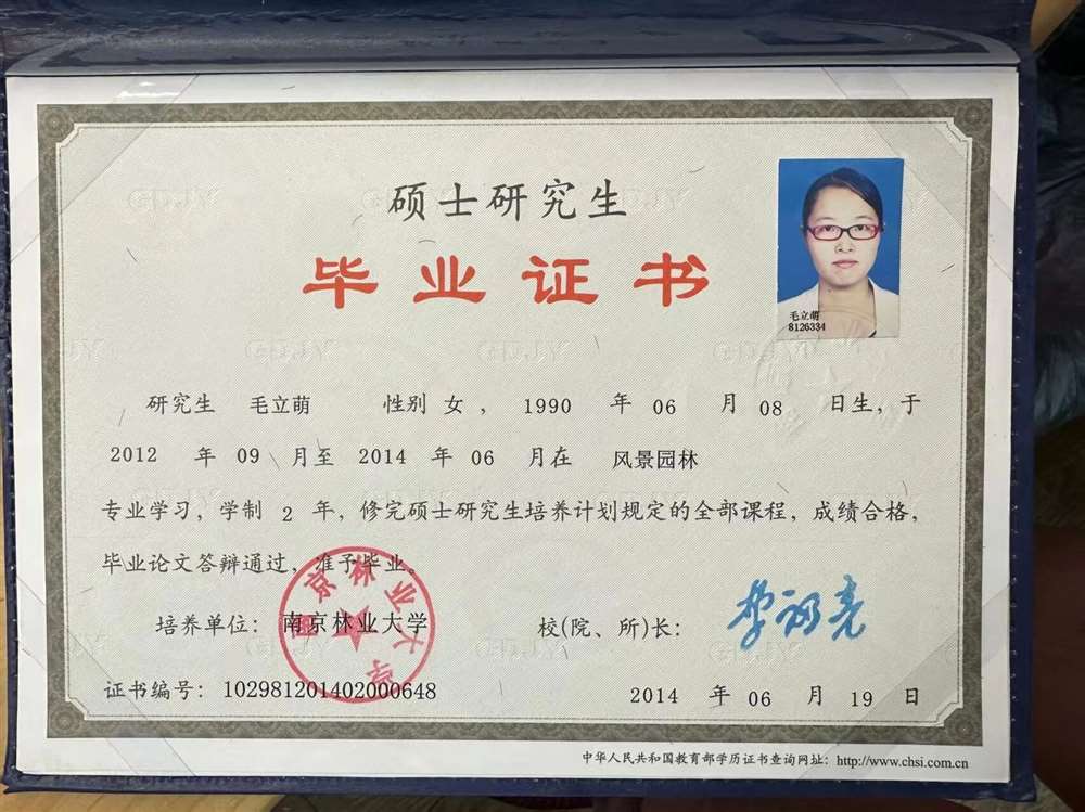 毛阿姨缩略图3