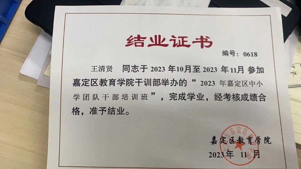 王阿姨工作生活照12