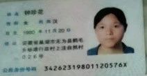 钟阿姨工作生活照2