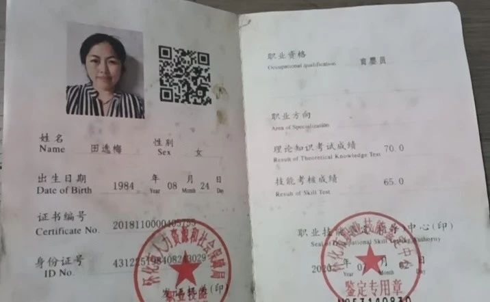 田阿姨缩略图5