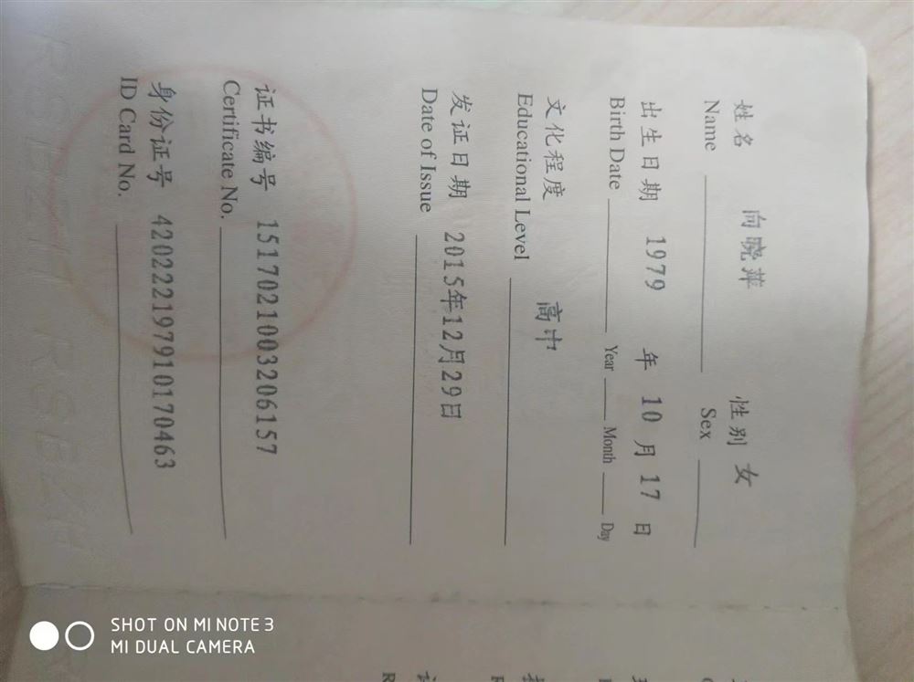 向阿姨缩略图5