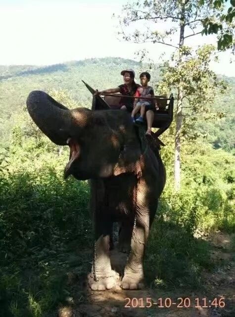徐阿姨缩略图8