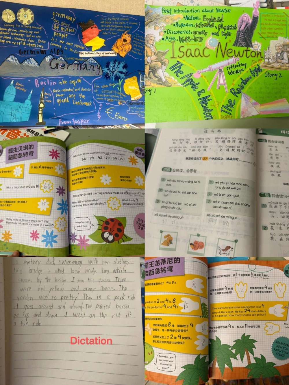 蒲阿姨缩略图2