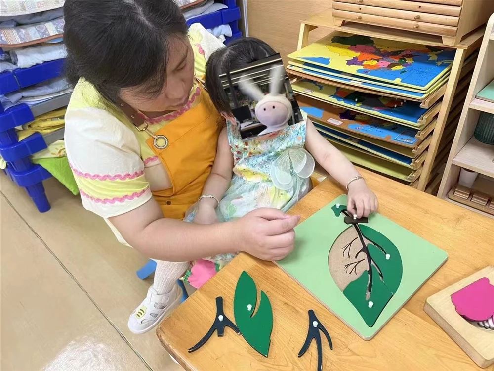 王阿姨缩略图8