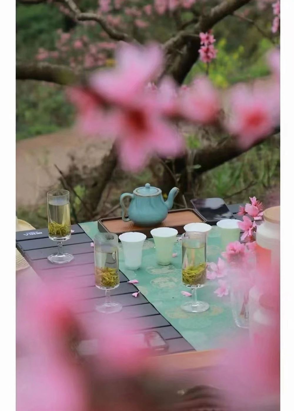 吴阿姨缩略图8