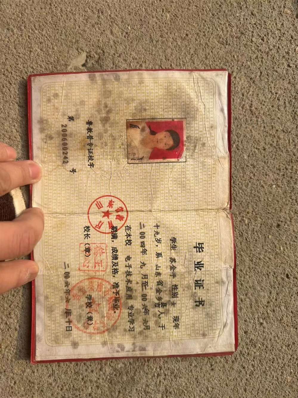苏阿姨缩略图8