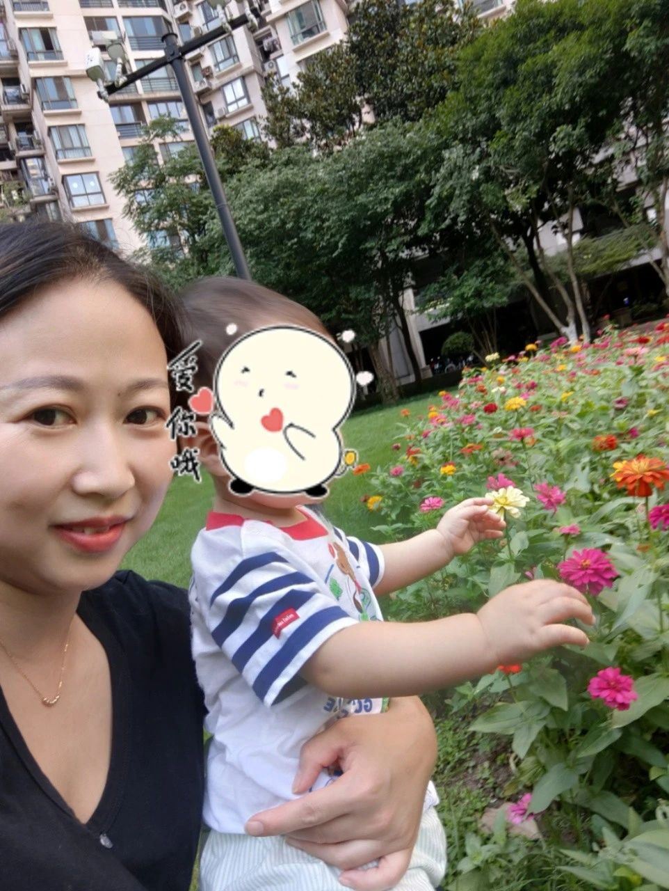 凡阿姨缩略图7