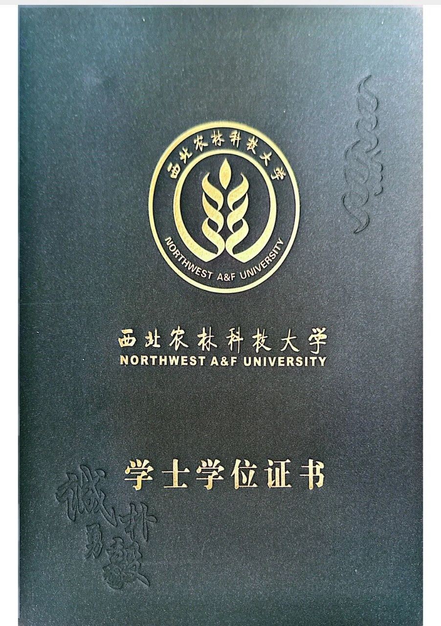 徐阿姨缩略图5
