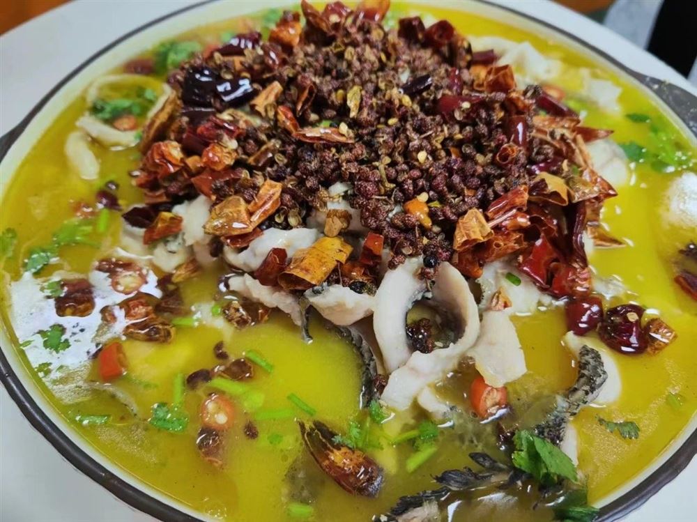 赵阿姨缩略图7