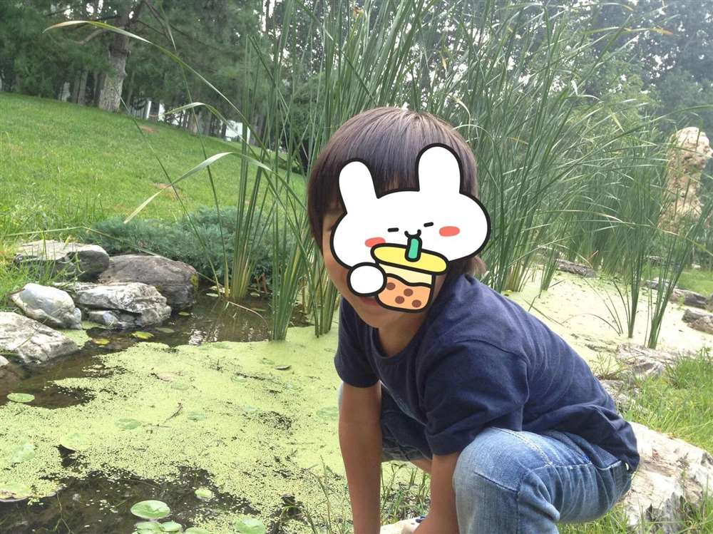 朱阿姨缩略图7