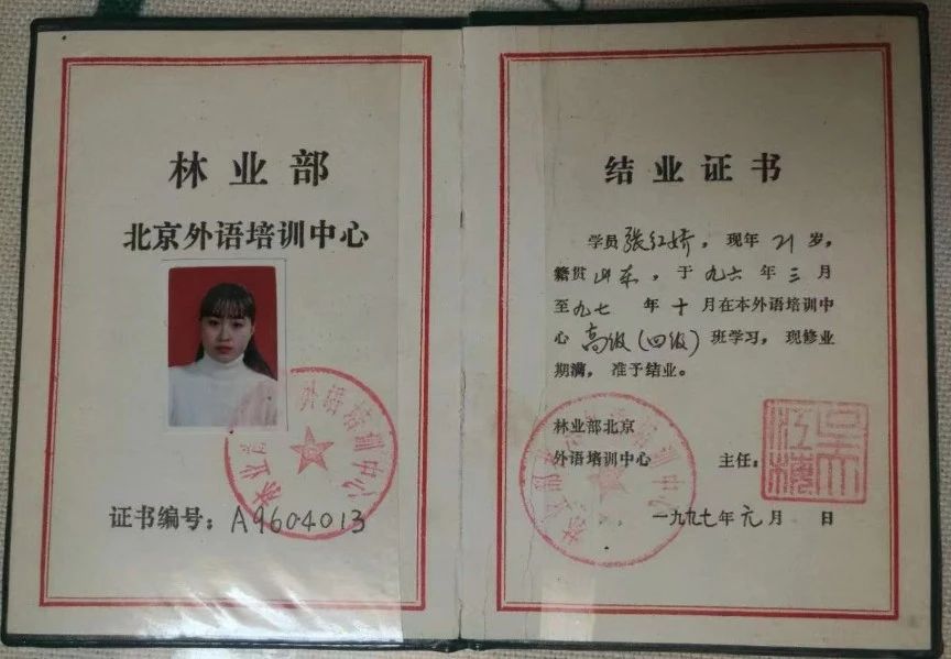 张阿姨缩略图4