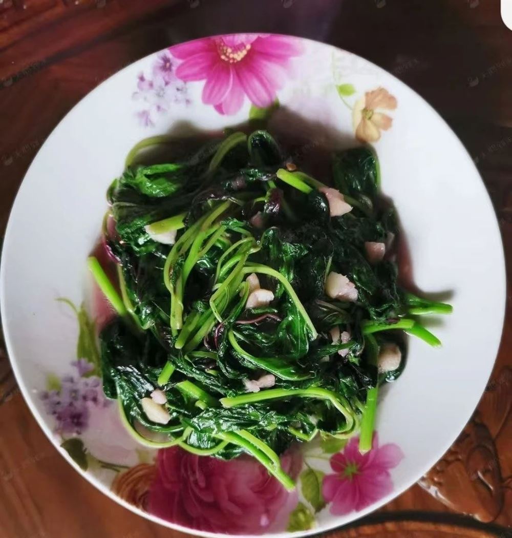 杜阿姨缩略图7