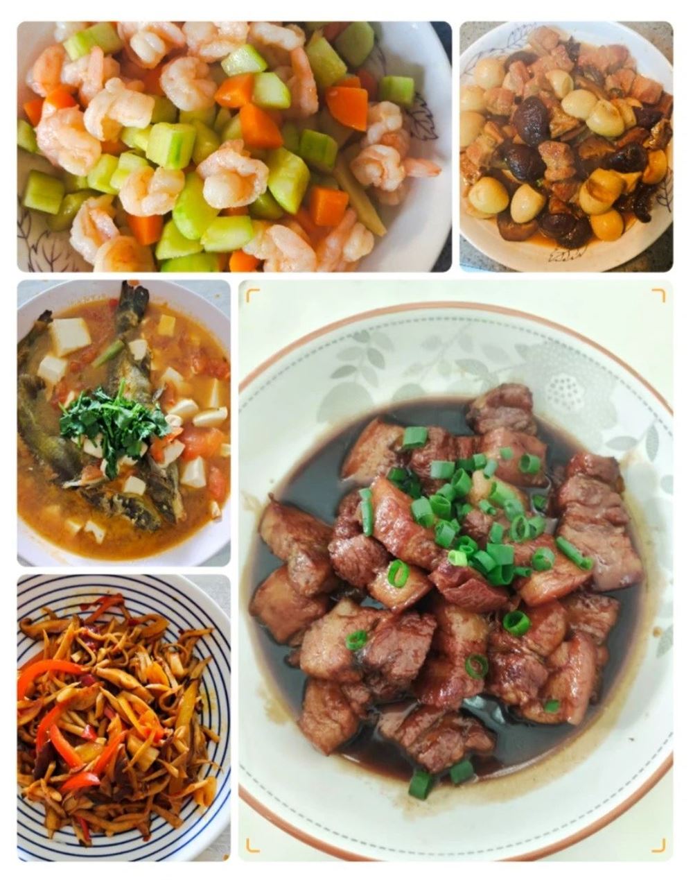 谢阿姨缩略图7