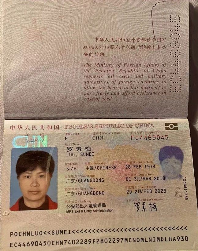 罗阿姨缩略图7