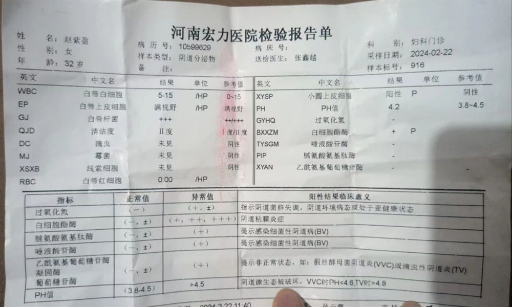 赵阿姨缩略图7