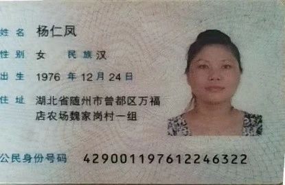 杨阿姨缩略图2