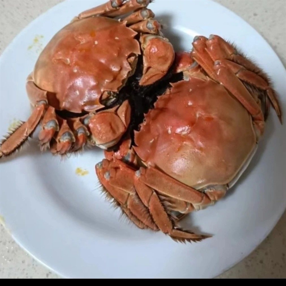 陈阿姨工作生活照6